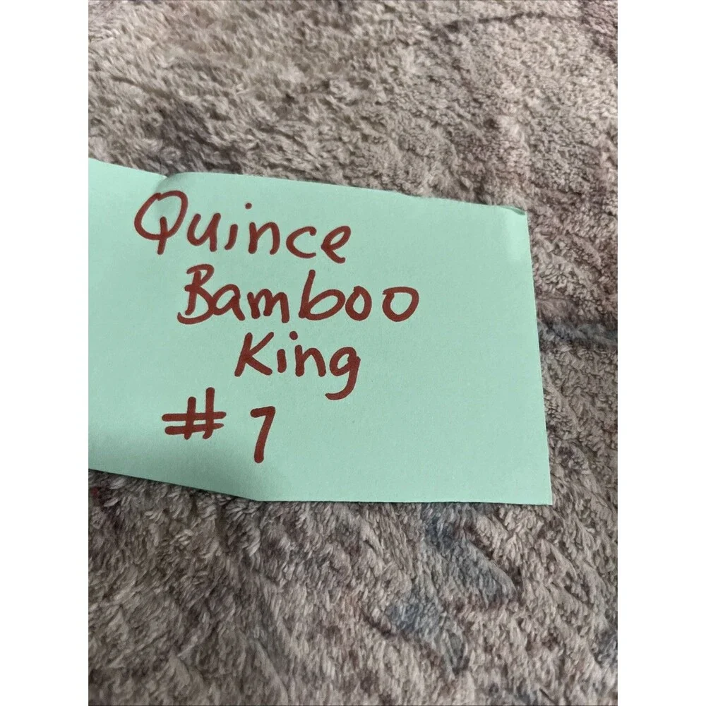 Frost King quince king